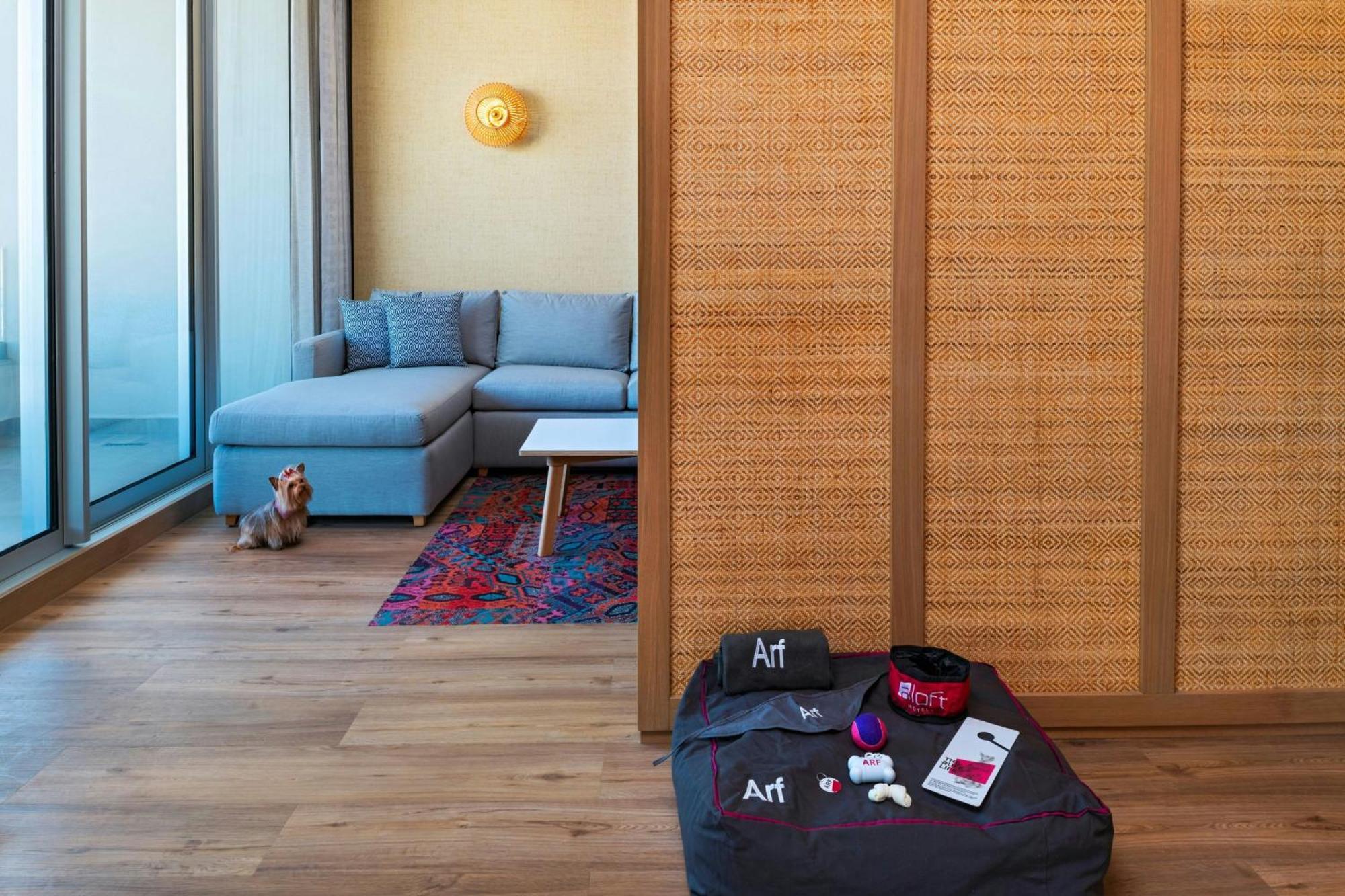 Hotel Aloft Playa Del Carmen Exterior foto A room divider